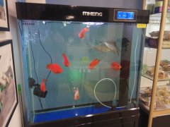 玻璃魚缸臟了怎么清洗才干凈？